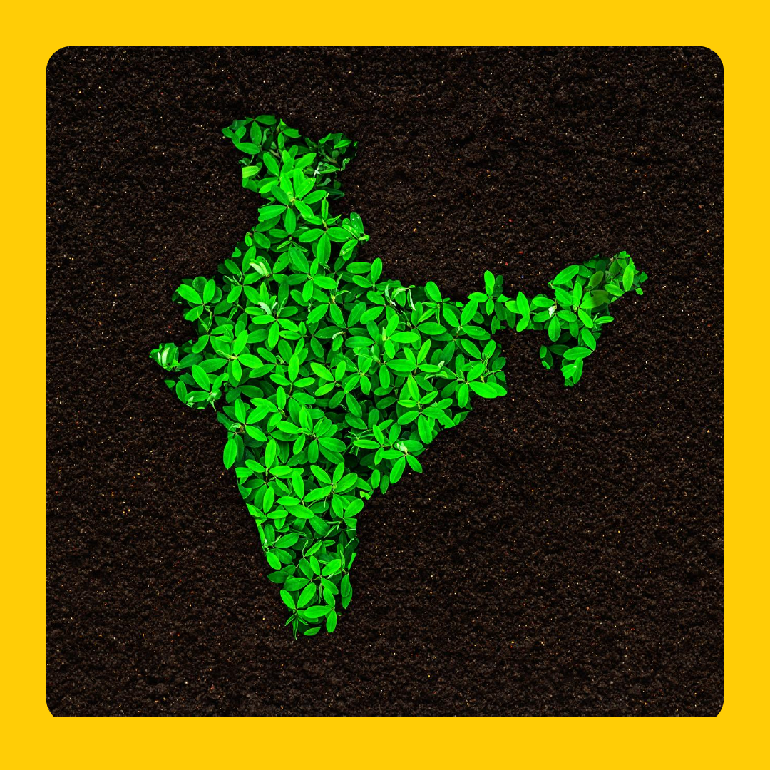 world-environment-day-2025-laundrymate